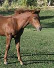 Animal videos and photos by Tm Blanton