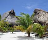 Caribbean Island Photos, Roatan