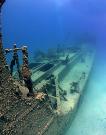 Prince Albert wreck dive videos and photos