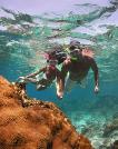 Snorkeling stock photo library images for sale