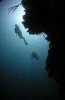 Diver portraits and stock images